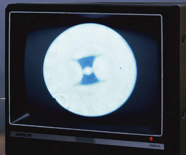 Standard Polarization Maintaining Fibers Standard Polarization Maintaining Fibers