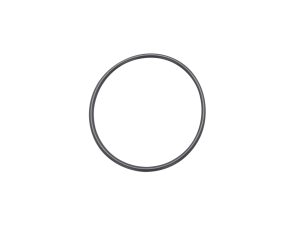ISO Centering Ring Viton® O-Rings