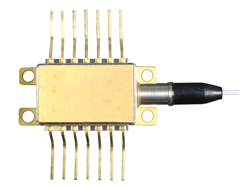 DFB Single-Frequency Pigtailed Laser Diodes with Isolators DFB Single-Frequency Pigtailed Laser Diodes with Isolators