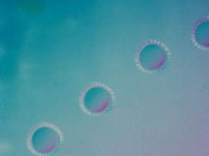 Laser Micromachining Laser Micromachining