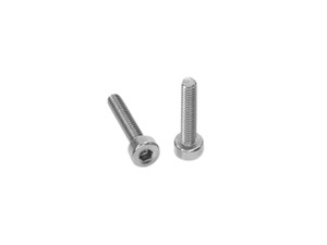 Stainless Steel Cap Screws