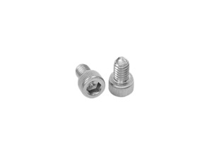 Stainless Steel Cap Screws