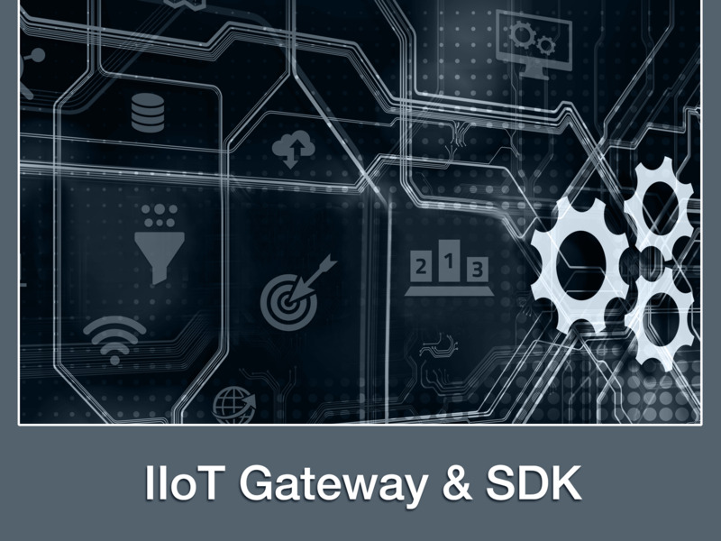 MKS IIoT Gateway & SDK MKS IIoT Gateway & SDK
